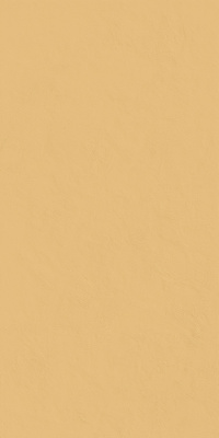 КЕРАМОГРАНИТ СЕРФЕЙС САН 60X120 ПАТ