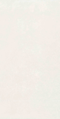 Плитка Mon Hazy Garden 30х60 