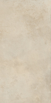 КЕРАМОГРАНИТ МИЛЛЕНИУМ ДАСТ 60X120 РЕТ