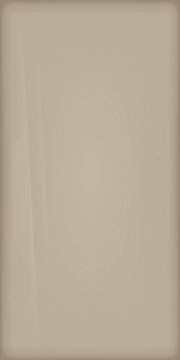 КЕРАМОГРАНИТ МЕТРОПОЛИС ГЛАСС ПАУДЕР 80Х160 ЛЮКС