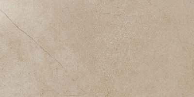 КЕРАМОГРАНИТ КОНТЕМПОРА ФЛЭЙР 60X120 ПАТ