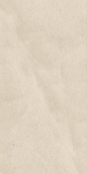 КЕРАМОГРАНИТ ЭВЕРСТОУН МУН 60X120 РЕТ