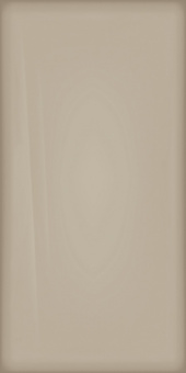 КЕРАМОГРАНИТ МЕТРОПОЛИС ГЛАСС ПАУДЕР 80Х160 ЛЮКС