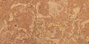 Пробковые полы EcoCork Madeira 915х305х6 мм клеевые