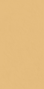 КЕРАМОГРАНИТ СЕРФЕЙС САН 60X120 ПАТ