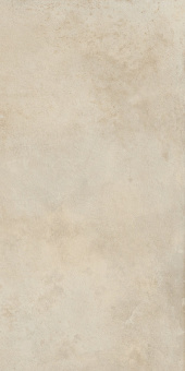 КЕРАМОГРАНИТ МИЛЛЕНИУМ ДАСТ 60X120 РЕТ